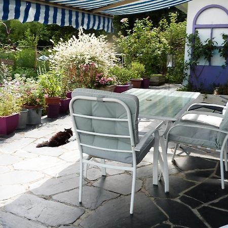 Le Jardin De Marie-Jeanne Bed and Breakfast Achy Buitenkant foto