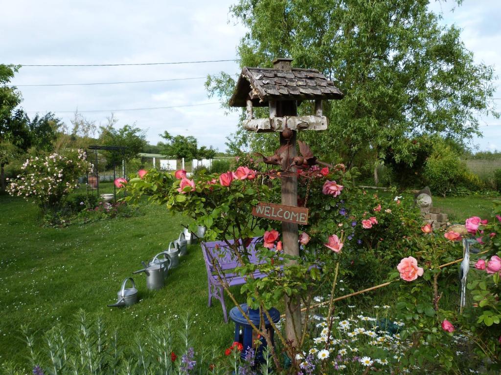 Le Jardin De Marie-Jeanne Bed and Breakfast Achy Buitenkant foto